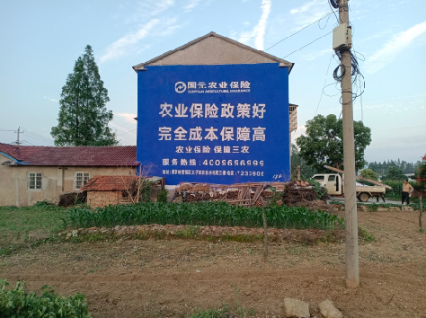 广水墙体广告的优劣势你知道吗？